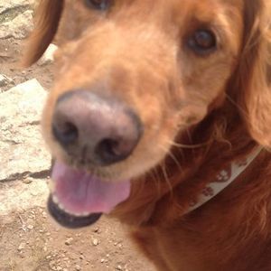 Meet your Posher, Pamela